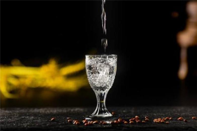 藏喜得乐养生酒